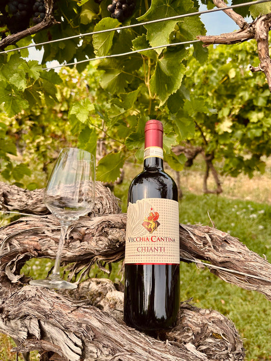 Vecchia Cantina Chianti Rotwein auf Weinrebe liegend mit Glas im Weinberg