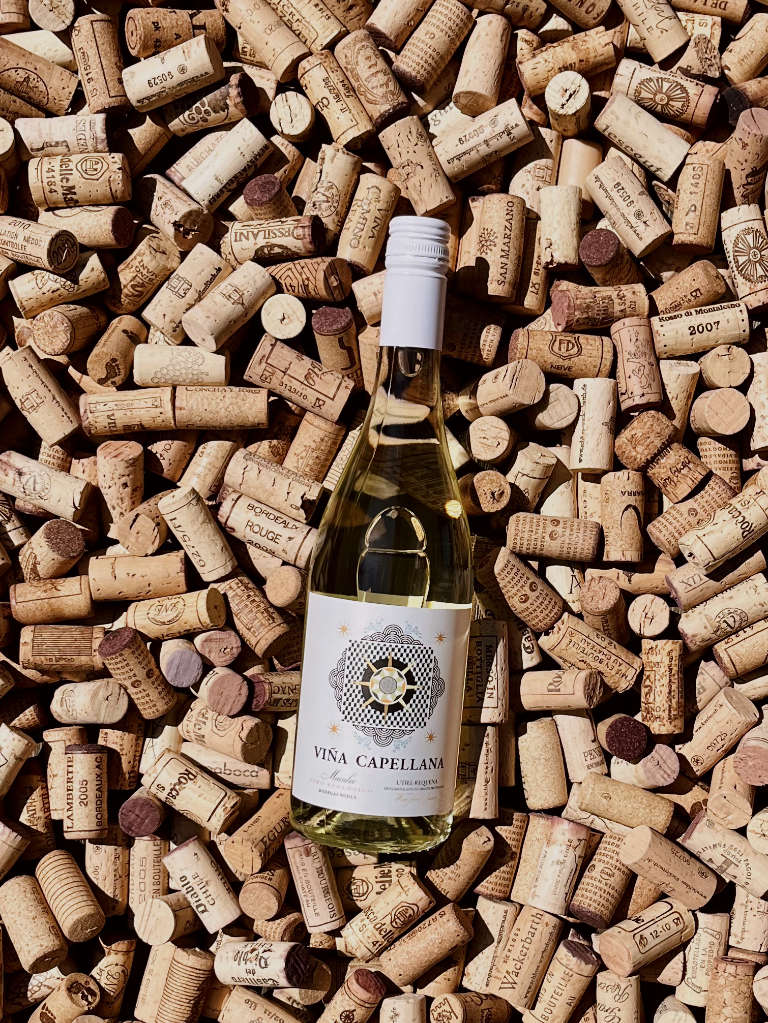 Vina Capellana Blanco Weißwein Trocken Bild 1