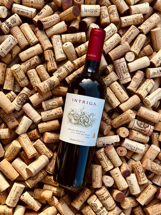 Intriga MontGras Rotwein Trocken Bild 1 